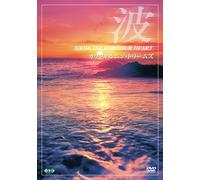 波 ~Medicine For Your Heart~ California Dreams カリフォルニア・ドリームズ [DVD]