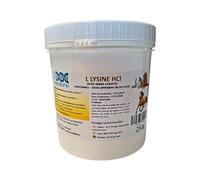 Medilife L-Lysine HCl en Poudre, Acide Aminé Essentiel pour Chiens Chats et Chevaux, Croissance et Développement Musculaire, Système Immunitaire, Bien-Être Respiratoire, Yeux & Allergie (250g)