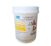 Medilife L-Lysine HCl en Poudre, Acide Aminé Essentiel pour Chiens Chats et Chevaux, Croissance et Développement Musculaire, Système Immunitaire, Bien-Être Respiratoire, Yeux & Allergie (500 g)