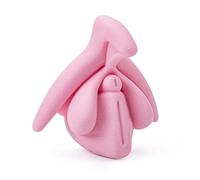 Medintim | Modèle éducatif | Anatomie du clitoris en 3D (Rose)