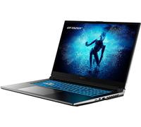 Medion DEFENDER P50 I5-13420H 16GB - Core i5