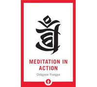 Meditation in Action