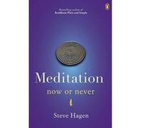 Meditation Now or Never