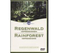 Méditation - Relaxation : Impressions Des Forêts Sous La Pluie