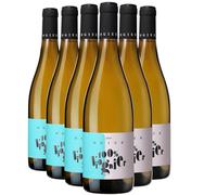 Méditerranée 100% Viogner - Blanc 2025 - Maison Ogier - Vin Blanc (6x75cl)
