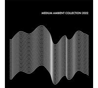 Medium Ambient Collection 2022 Black / Various - Medium Ambient Collection 2022 Black / Various [Vinyl LP]