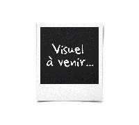 Médium - GOLDEN ARTIST COLORS - Polymère moyen - 3,78 L - Aspect brillant - Non jaunissant