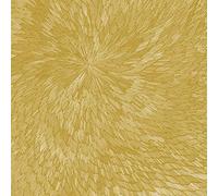 Medna Roso (Vinyle-Édition Or) / Pjev-Kit Downes-Hayden Chishom