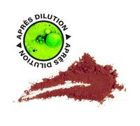 Méduze - Fluorescéine poudre colorante 25 g