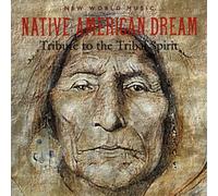 Medwyn Goodall - Native American Dream: Tribute to the Tribal Spirit By Medwyn Goodall (2003-05-06)