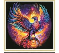 Meecaa Kit de broderie au point de croix estampillé, 11 CT, kit de broderie pré-imprimé avec accessoires, phénix, Nirvana, oiseau (36 cm x 36 cm) (oiseau)