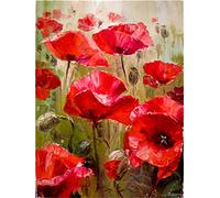 Meecaa Kit de peinture à l'huile par numéros Motif coquelicots pour adultes débutants 40,6 x 50,8 cm (fleur 3, sans cadre)
