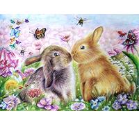 Meecaa Kit de peinture à l'huile par numéros pour adultes, débutants - Lapin, conjoint, fleur, papillon - 40,6 x 50,8 cm (lapin, sans cadre)