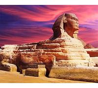 Meecaa Kit de peinture par numéros pour adultes débutants 40,6 x 50,8 cm (Sphinx, sans cadre)