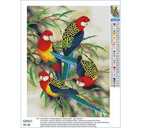 Meecaa Kits de broderie au point de croix 11 comptes estampés, kit de broderie d'oiseau Martin-pêcheur avec accessoires pré-imprimé (36 cm x 46 cm) (Oiseau)