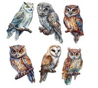 Meecaa Lot de 6 aimants pour réfrigérateur en forme de hibou - Kit d'art diamant pour adultes - Décoration d'intérieur (chouette)