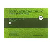 MEEDEN Carnet Aquarelle 31 x 21cm : 20 Feuilles de Carnet de Papier Aquarelle 100% Coton - Grain Fin - 300 gsm Bloc de Papier Aquarelle sans Acide pour Aquarelle Gouache Encre