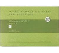 MEEDEN Carnet Aquarelle 38 x 26cm : 20 Feuilles de Carnet de Papier Aquarelle 100% Coton - Grain Fin - 300 gsm Bloc de Papier Aquarelle sans Acide pour Aquarelle Gouache Encre