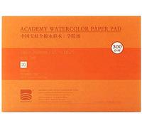 MEEDEN Carnet Aquarelle 38 x 26cm : 20 Feuilles de Carnet de Papier Aquarelle 100% Coton - Grain Satiné - 300 gsm Bloc de Papier Aquarelle sans Acide pour Aquarelle Gouache Encre