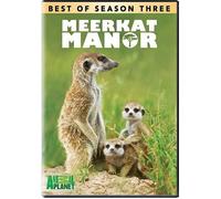 Meerkat Manor: Best Of Season 3
