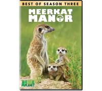 Meerkat Manor: Best of Season 3