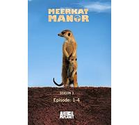 Meerkat Manor Season 3 - Episode: 1-4