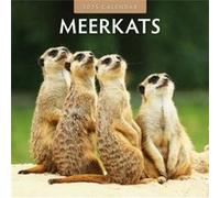 Meerkats 2025 Square Wall Calendar - Red Robin - Red Robin Publishing Ltd. - Livre en Anglais - Paperback Red RobinRed Robin (Auteur)