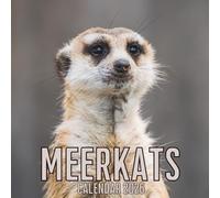 Meerkats Calendar 2026: 12 Months Organizer For Home & Office From January to December