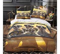 Meerkats Driving Parure de Lit 3D Imprimée Microfibre Hypoallergique 3 Pièces Éclair Super Douce Coon Safari Adventure Ensemble De Literie Respirante Résistante for les Enfants Double（200x200cm）
