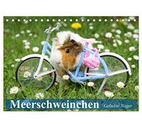 Meerschweinchen. Geliebte Nager (Tischkalender 2026 DIN A5 quer), CALVENDO Monatskalender: Die niedlichen und qiekenden Herzensbrecher aus Südamerika