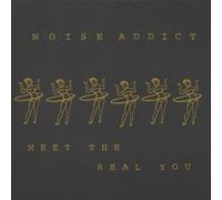 Meet the Real You by Noise Addict