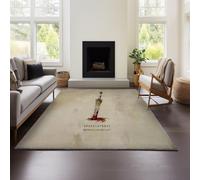 MeeTe Tapis Épais Imitation Cachemire Fallout New Vegas, Style Marocain, pour Salon, Chambre, Canapé, Table Basse, Couverture, Style Ethnique Américain, Country (Fallout 01,120x160cm)