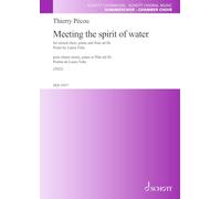 Meeting the spirit of water: pour chœur mixte, piano et flûte ad lib.. choir (SATB), piano and flute ad lib.. Partition d'exécution.