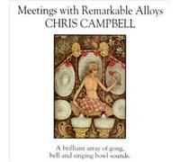 Meetings with Remarkable Alloy [Import]