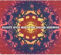 Meets the Seesaw Ensemble