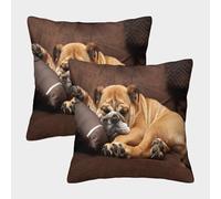 MEFESE Bouledogue Housse De Coussin Ensemble De 2 Bouledogue endormi Housse De Coussin Décorative Confort Et Douceur Garantis Housses De Coussin avec Fermeture À Glissière 50x50cm