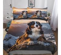 MEFESE Bouvier Bernois Suisse Luxury 3 Pièces Parure De Lit avec Housse De Couette-Doux-Respirant-en Microfibre-avec Taies d'oreiller-pour Fille Garçons Et Enfant Adultes King（220x240cm）