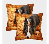 MEFESE Chiot Border Collie Mignon Housse De Coussin Ensemble De 2 Taie d'oreiller Décoratif Canapé Confort Et Douceur Garantis Coussins pour Animaux De Compagnie 50x50cm