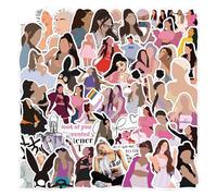 MefoAr 50pcs Singer Stickers Pop Star, Autocollants Vinyle Musical Bagages Ordinateur Portable Téléphone Mobile Bouteille Voiture Mur DIY Waterproof Sticker Fans Gifts Art Picture (B,50 Pcs)