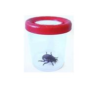 Navir Loupe Mega Bug Viewer 8027 – Pour enfants à partir de 6 ans 100 mm – Couleurs assorties