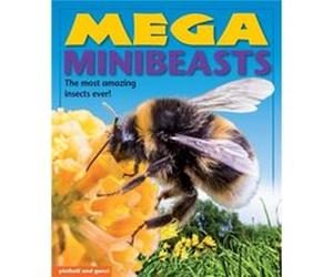 Mega Minibeasts by Nina Filipek Nina Filipek (Auteur)
