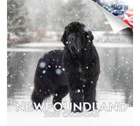 MegaCalendars Calendrier mural 2026 - 16 mois de race de chien - Grands blocs quotidiens, papier épais sans bavure, fabriqué aux États-Unis