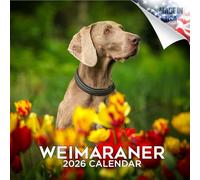 MegaCalendars Calendrier mural 2026 - 16 mois de race de chien - Grands blocs quotidiens, papier épais sans bavure, fabriqué aux États-Unis