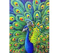 MegaCrea DIY Peinture au numéro Paon 30 x 40 cm