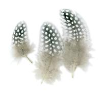 MégaCréa DIY - Plumes Assortiment naturel 10 cm 50 pièces