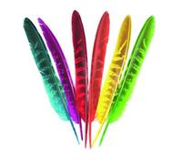 MégaCréa DIY - Plumes Indien pour bricolage enfant 18 à 19,5 cm 24 pièces