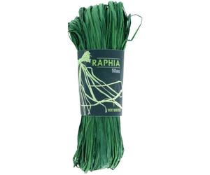 MégaCréa DIY - Raphia végétal Vert 50 g
