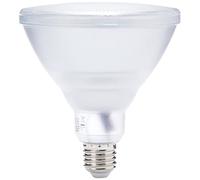 Megaman MM04344 NC, E27 (Edison Screw), 15.5 W, Argent
