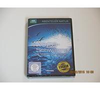 Megaschwärme - Die Macht der Masse / Abenteuer Natur / BBC EARTH / Weltbild