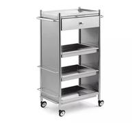 MegLob Chariot De Plateau De Salon De Services Publics, Chariot À Outils De Stockage De Salon De Coiffure En Acier Inoxydable, Chariot De Rangement De Coiffure Professionnelle En Métal,Argent